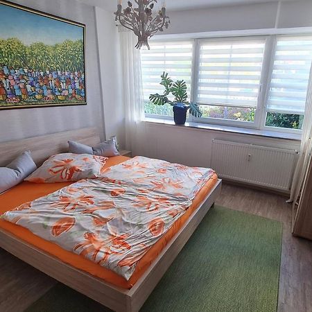 Ferienwohnung Kranich บัดซัคซา ภายนอก รูปภาพ